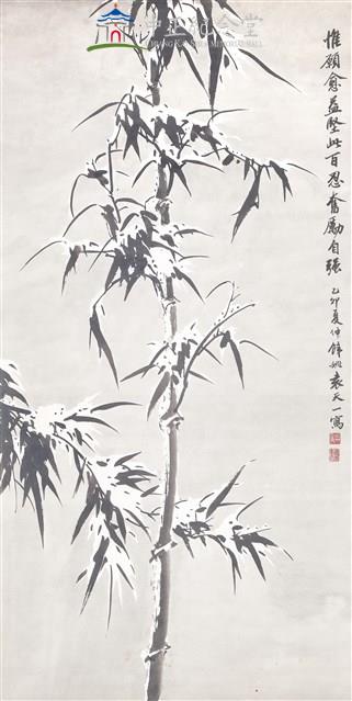 Bamboo in the snow Collection Image